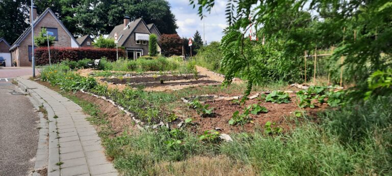 Bijzondere pluktuin langs het spoor bij de Mielweg