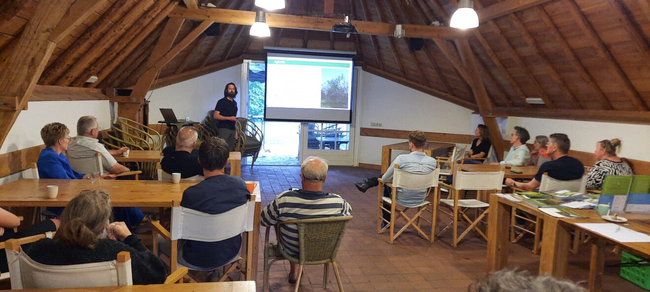 Lindebomen voor romantische nachten en notenbomen tegen vliegen