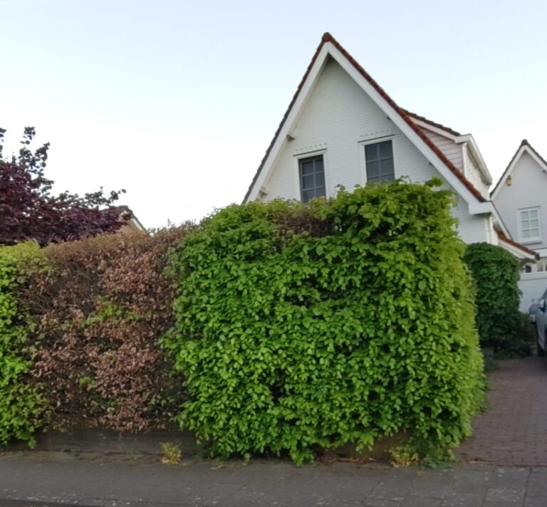 Woning 1928 Lunteren