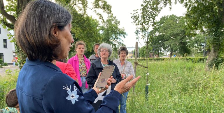 Eerste BioBlitz bij Spoortuin Lunteren laat grote diversiteit wilde planten en insecten zien